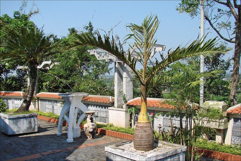 Nhà thờ Công giáo Trà Kiệu tại vùng trung tâm hành hương Đức Mẹ Trà Kiệu